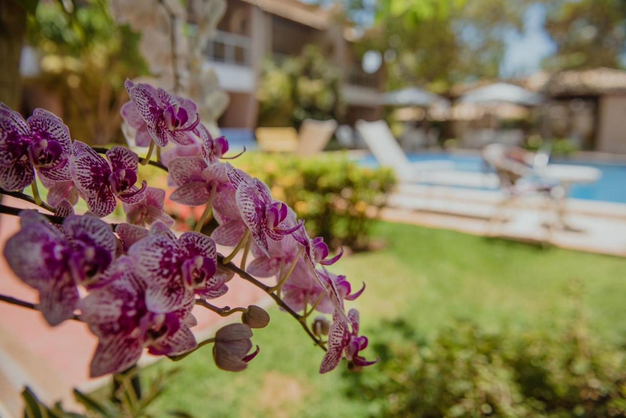 Laguna Ville 06 イタシミリン エクステリア 写真