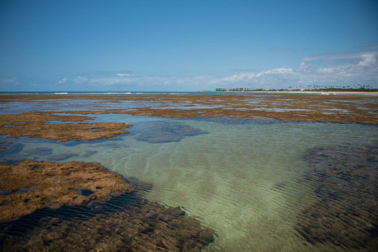 Laguna Ville 06 イタシミリン エクステリア 写真